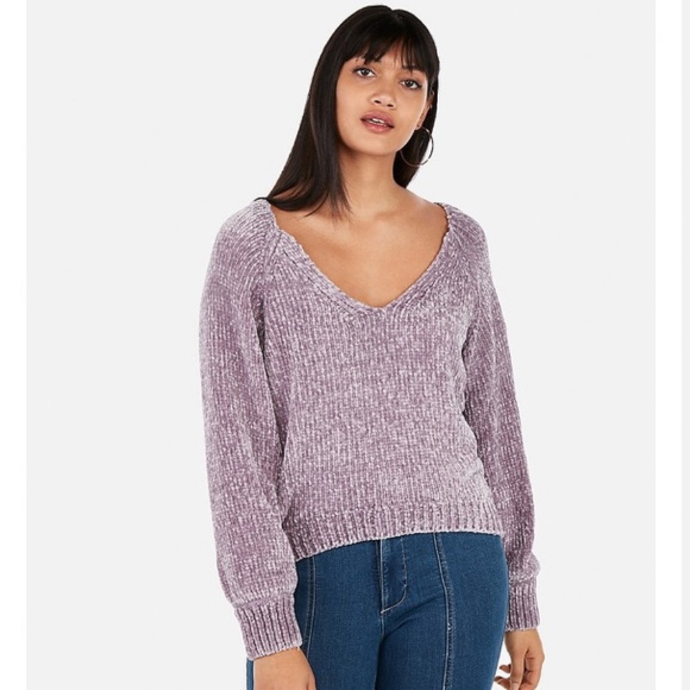 Express Purple orchid plush chenille V neck Sweater Medium